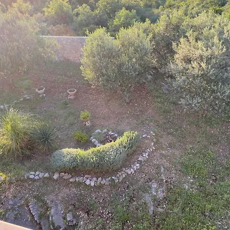 Apartment Olive Цавтат