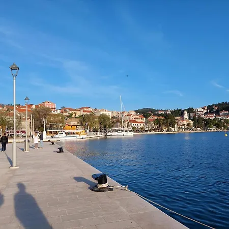 Prázdninový dům Apartment Olive Cavtat