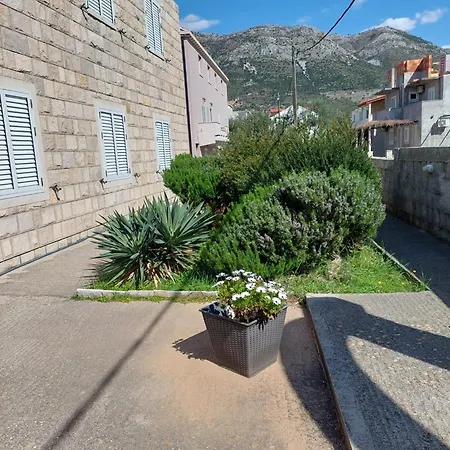 Apartment Olive 察夫塔特